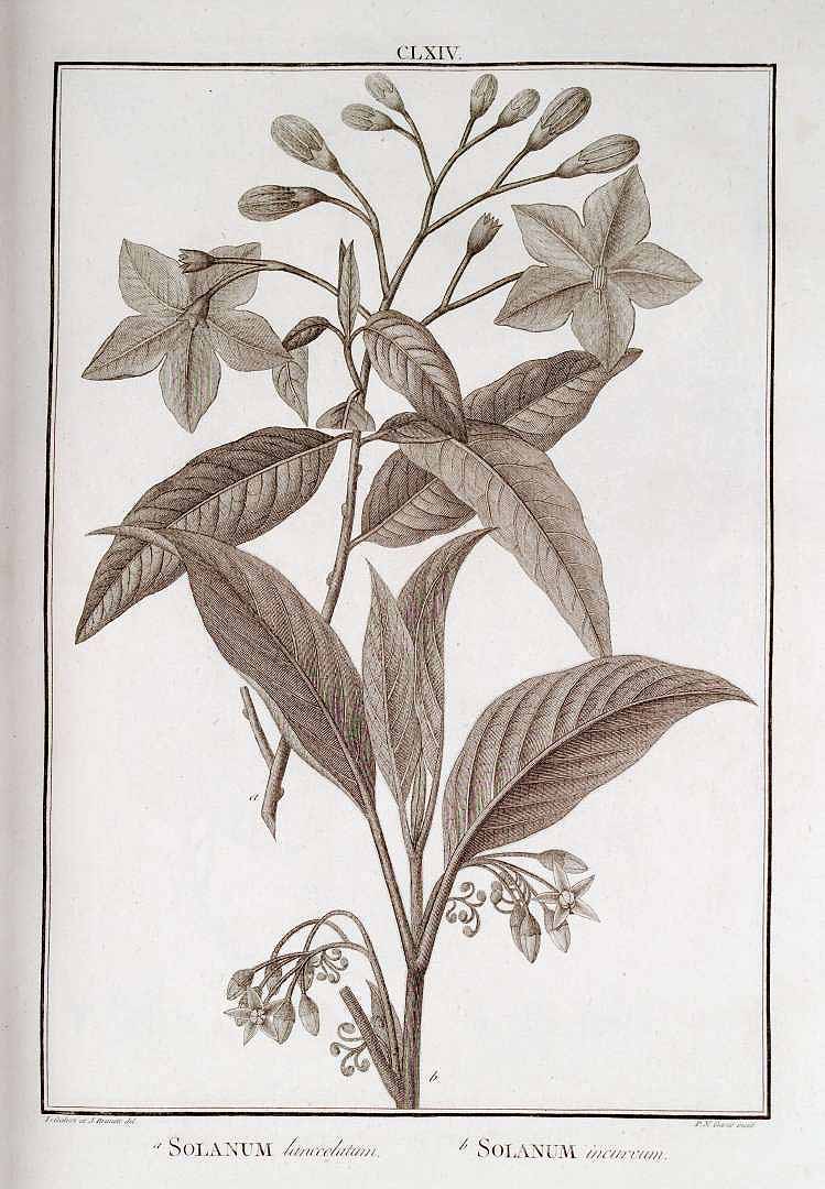 no HD illustration available (3)