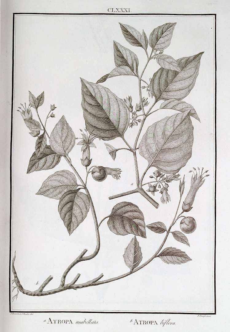 no HD illustration available (3)