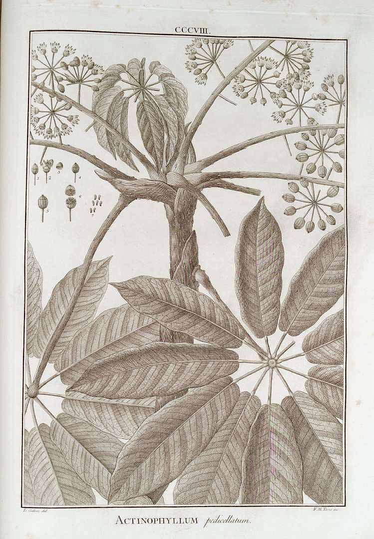 no HD illustration available (3)