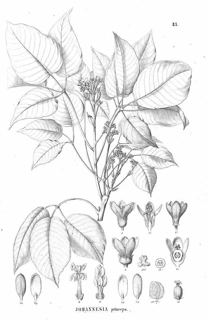 no HD illustration available (3)