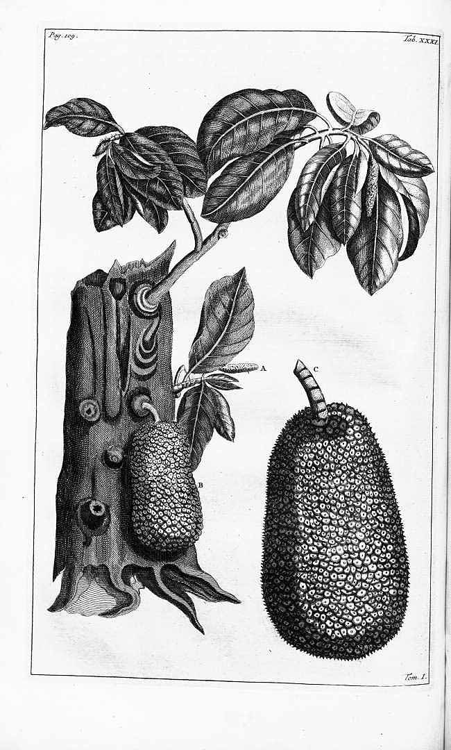 no HD illustration available (3)