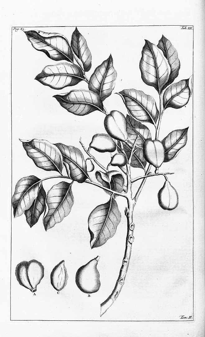 no HD illustration available (3)