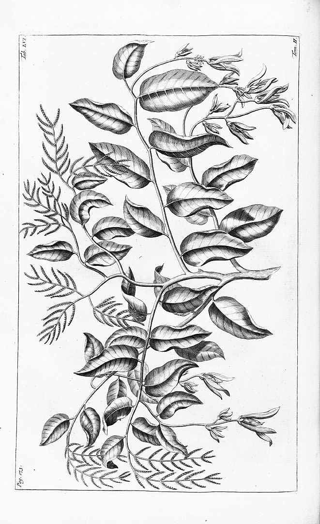 no HD illustration available (3)