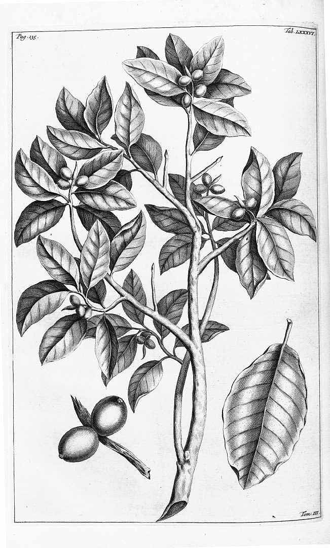 no HD illustration available (3)