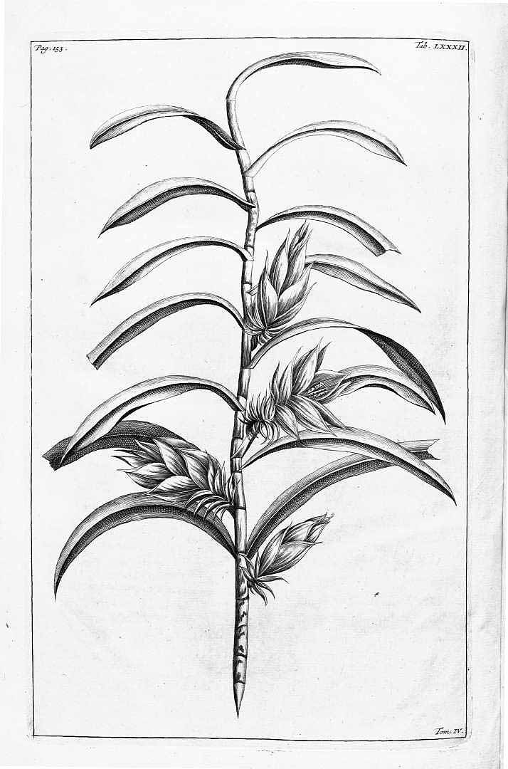 no HD illustration available (3)