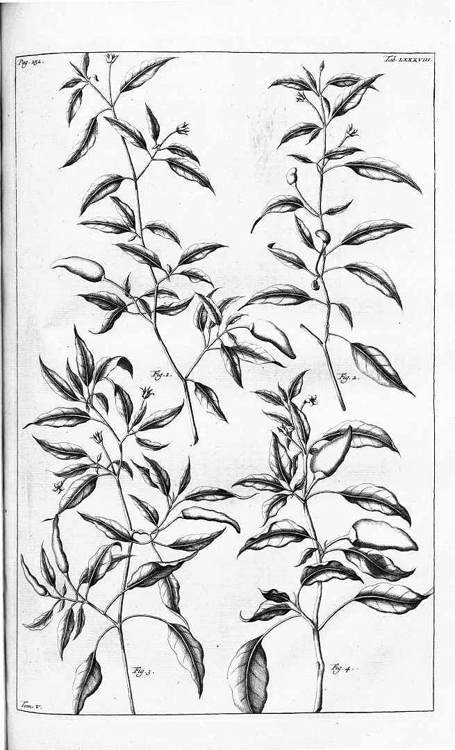 no HD illustration available (3)