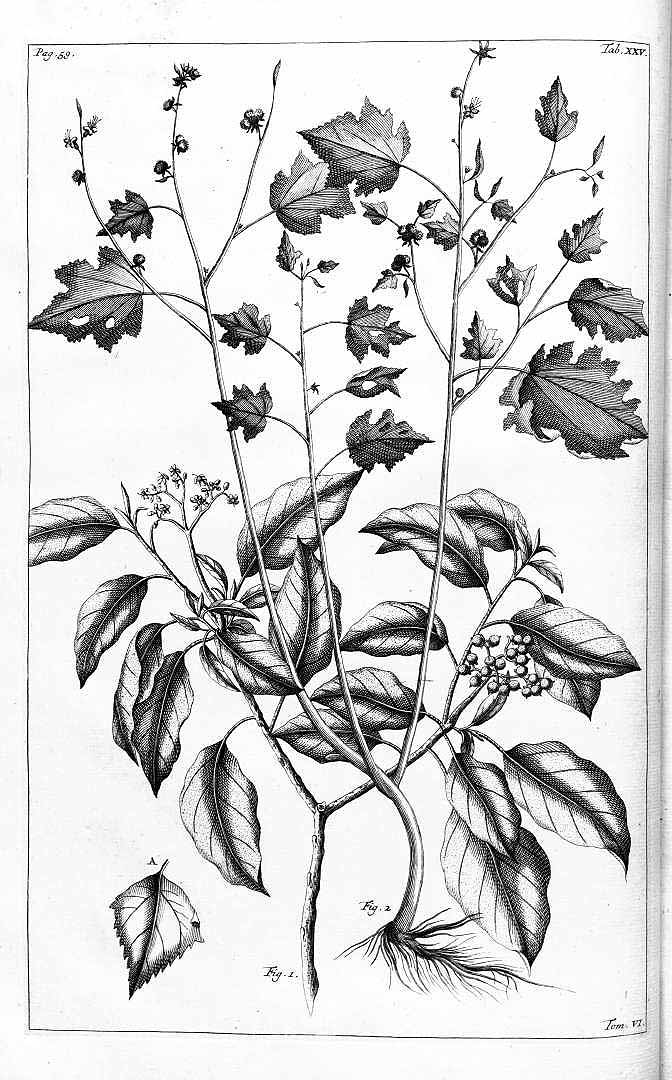 no HD illustration available (3)