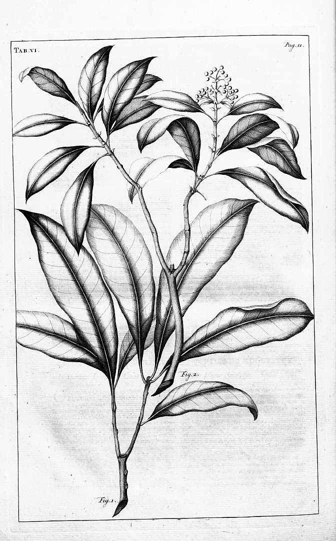 no HD illustration available (3)