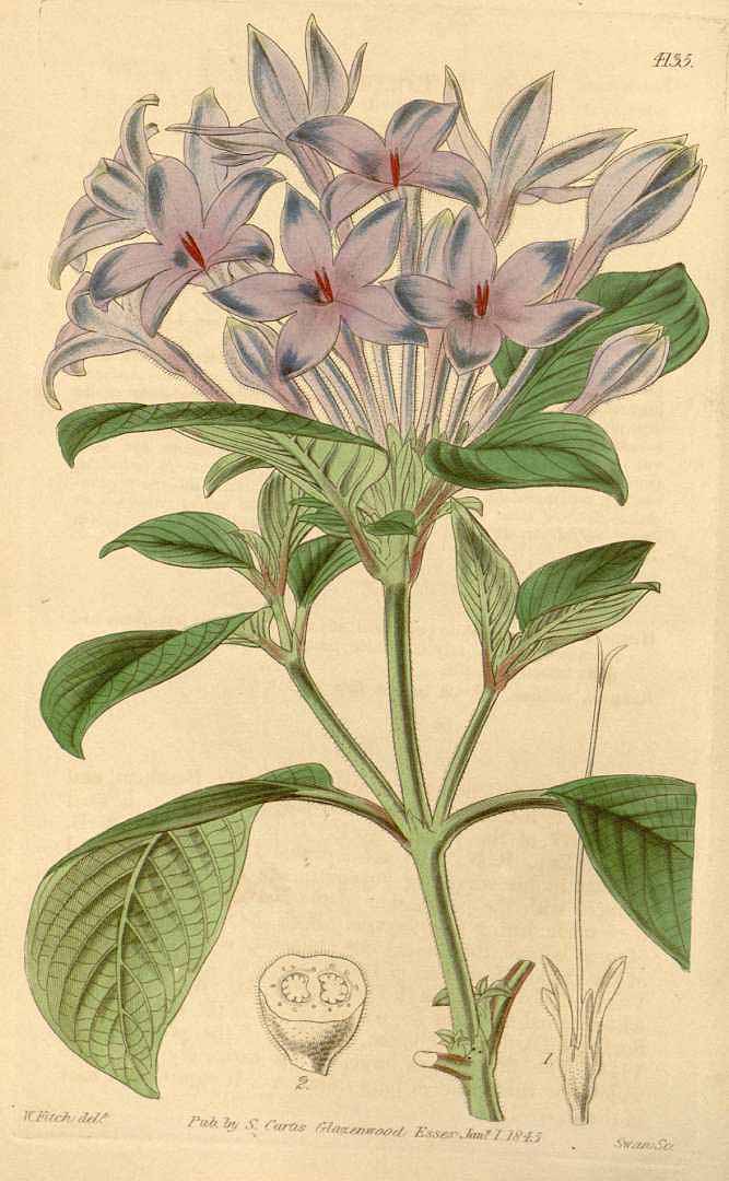 no HD illustration available (3)