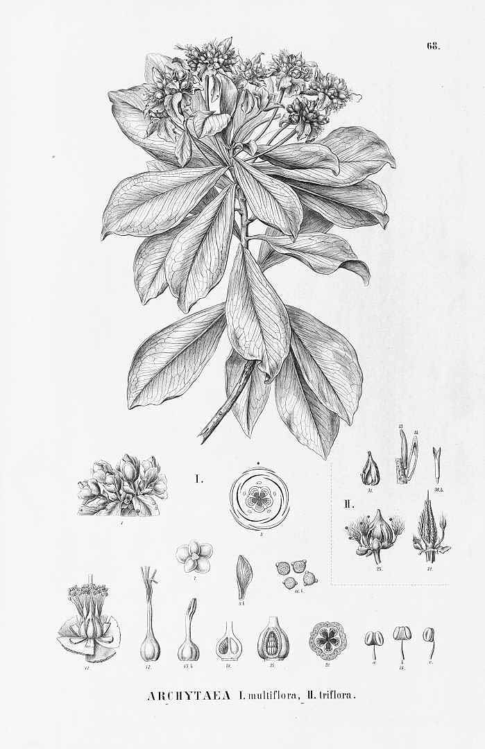 no HD illustration available (3)