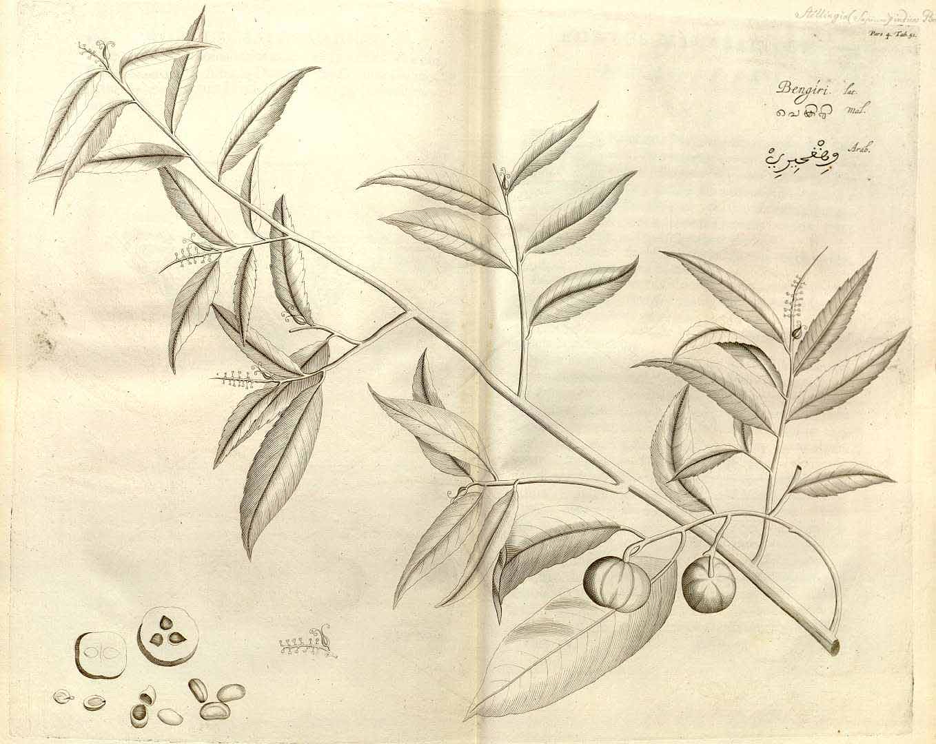 no HD illustration available (3)