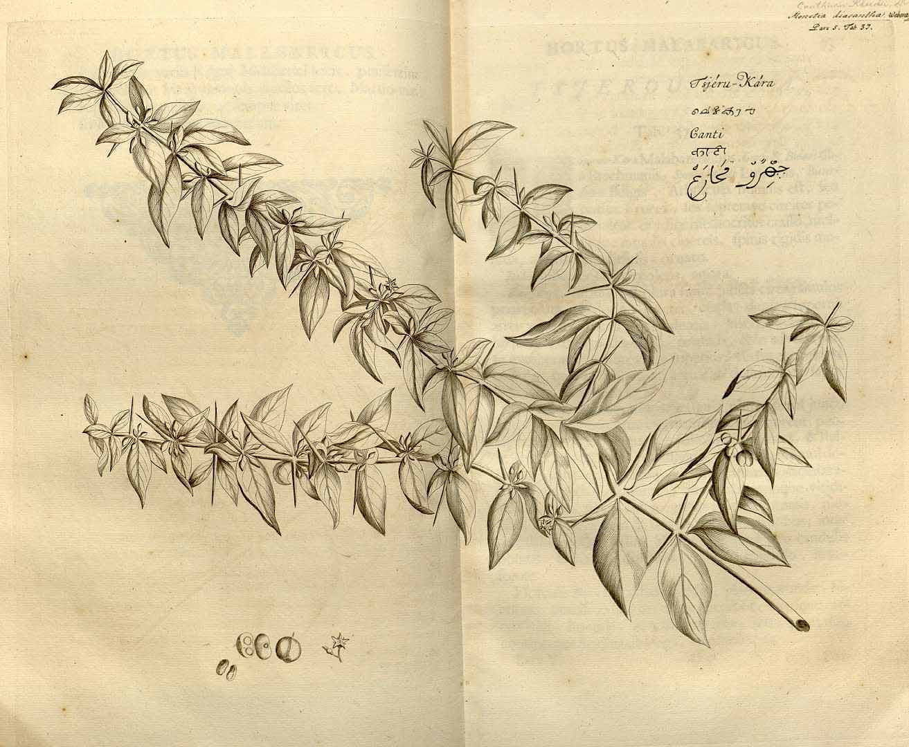 no HD illustration available (3)