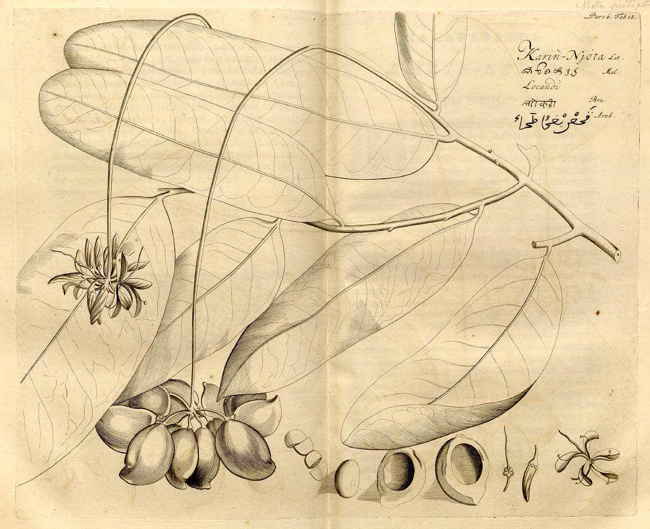 no HD illustration available (3)