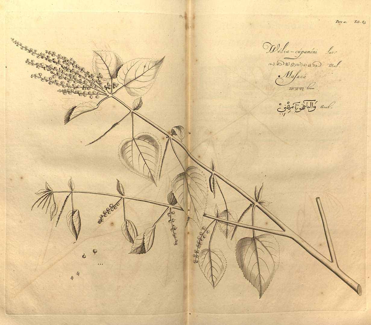 no HD illustration available (3)