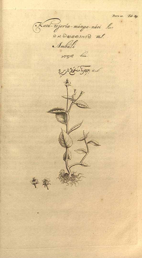 no HD illustration available (3)