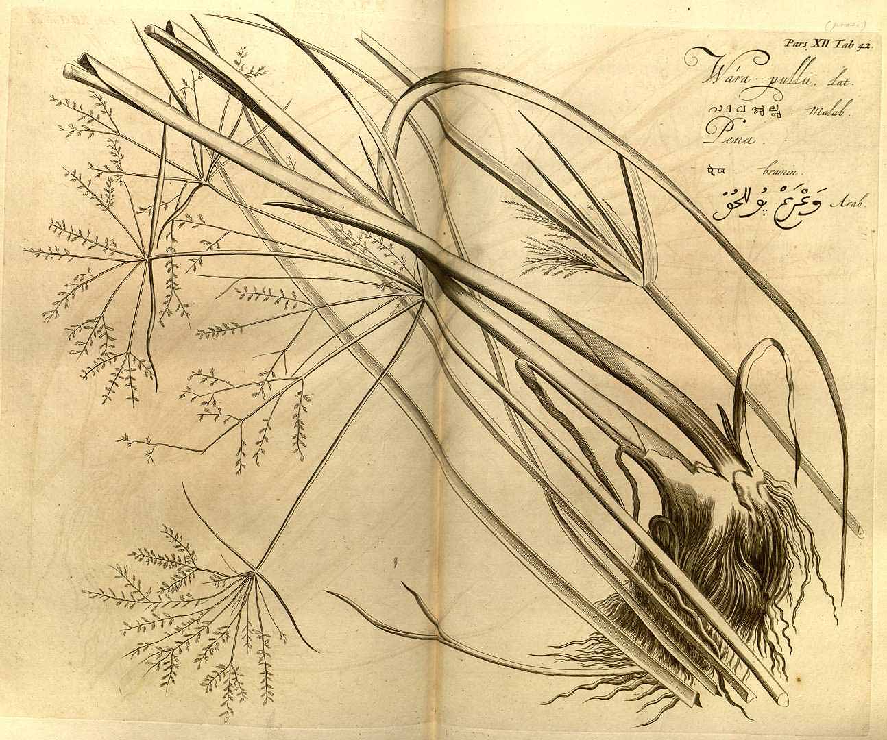 no HD illustration available (3)