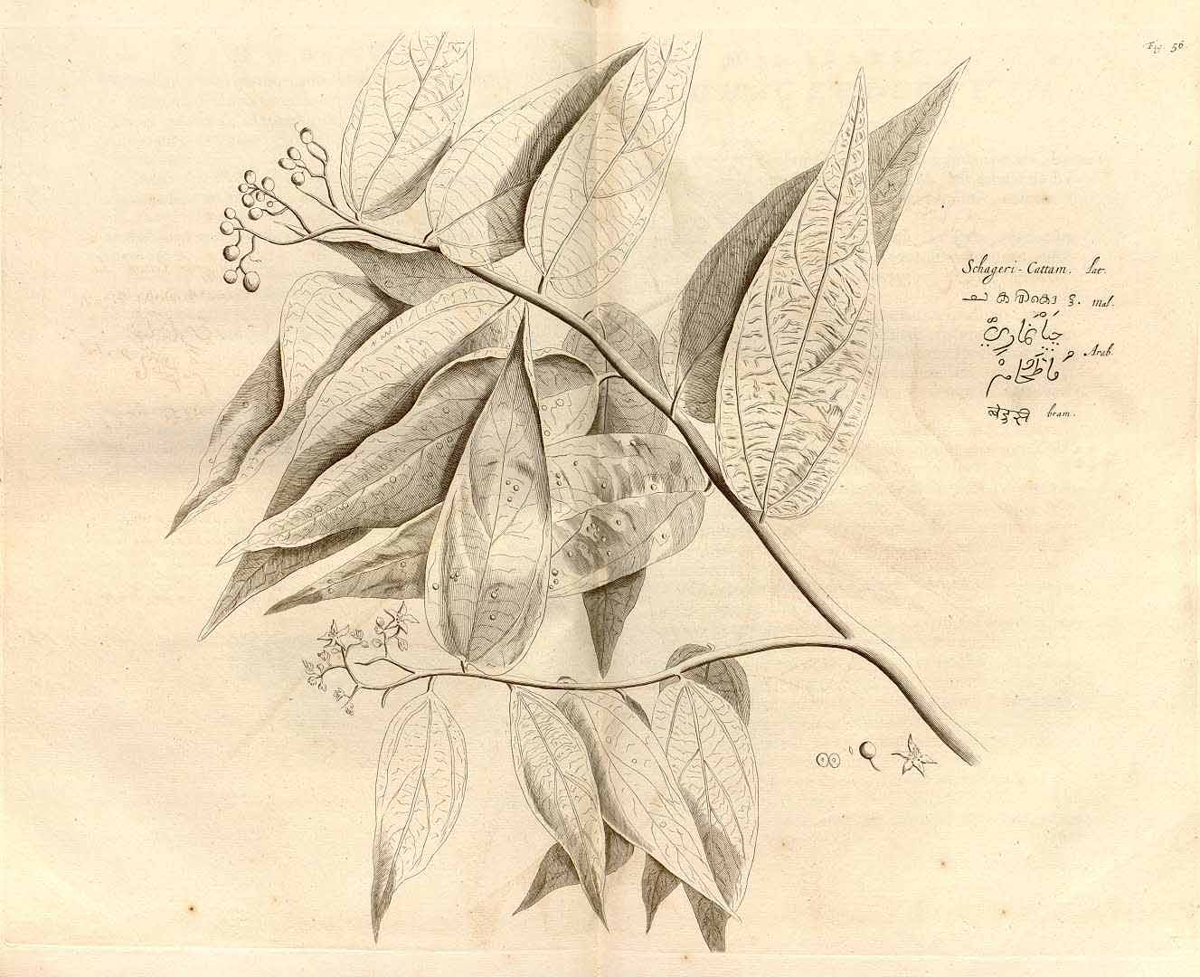 no HD illustration available (3)