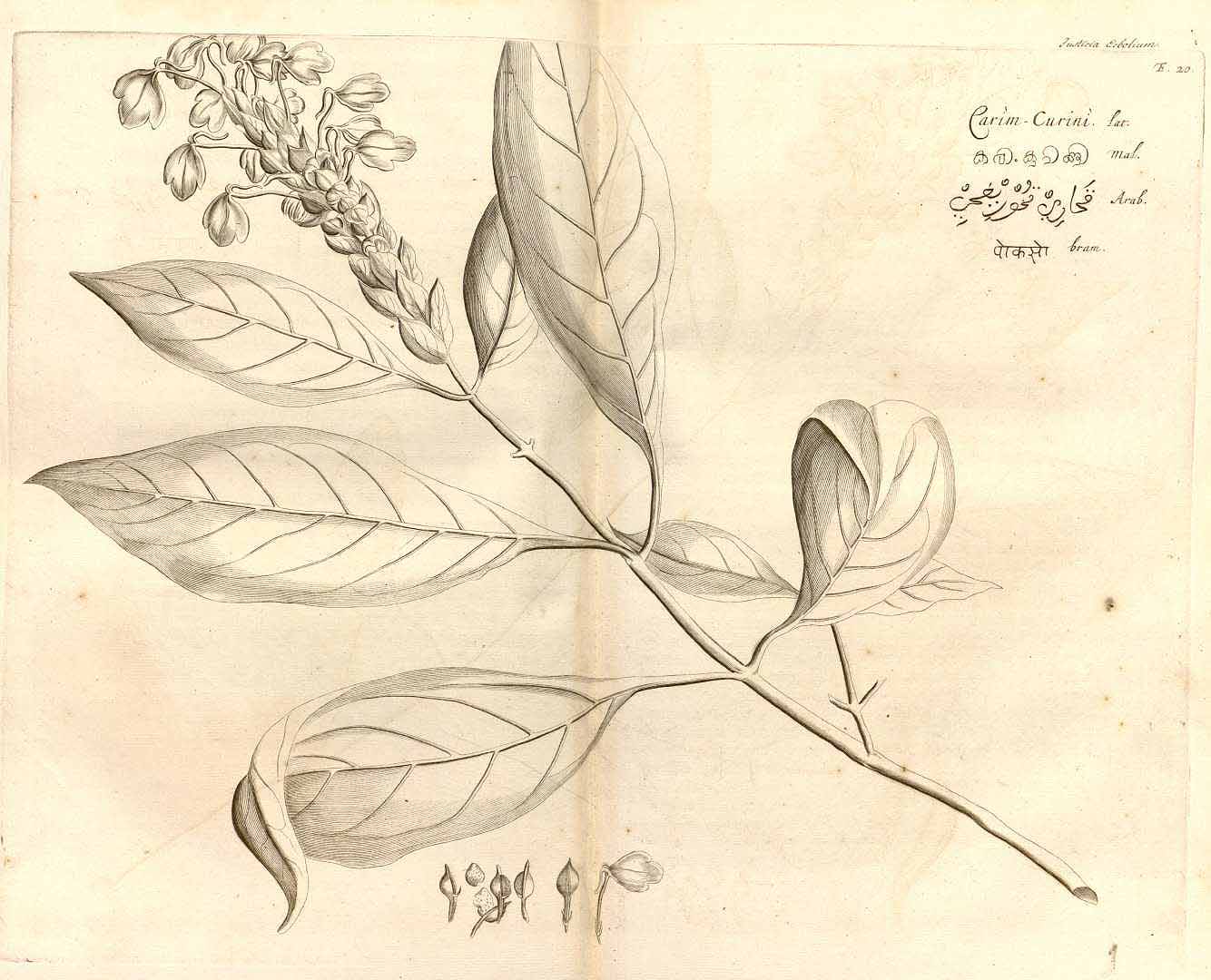 no HD illustration available (3)