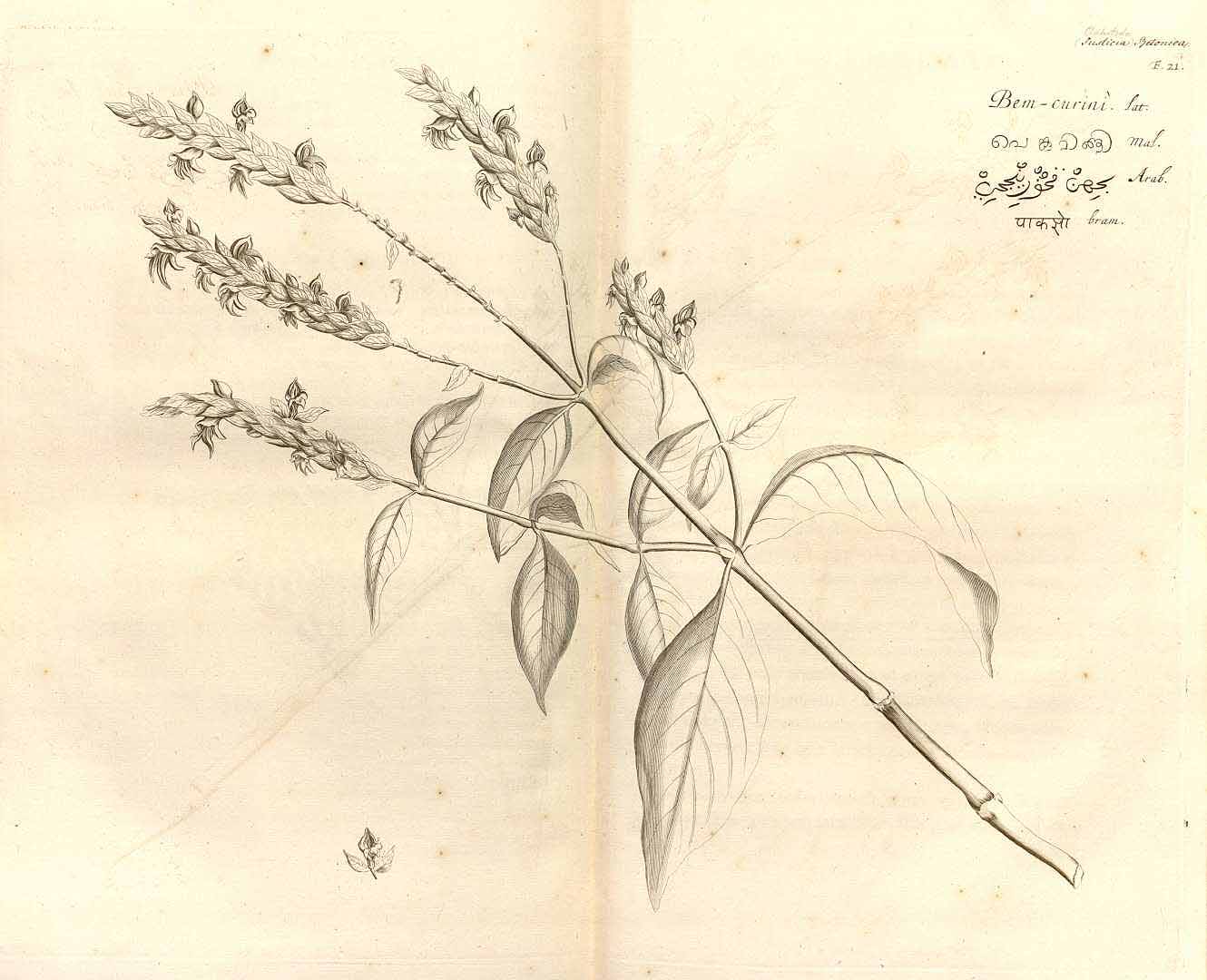 no HD illustration available (3)