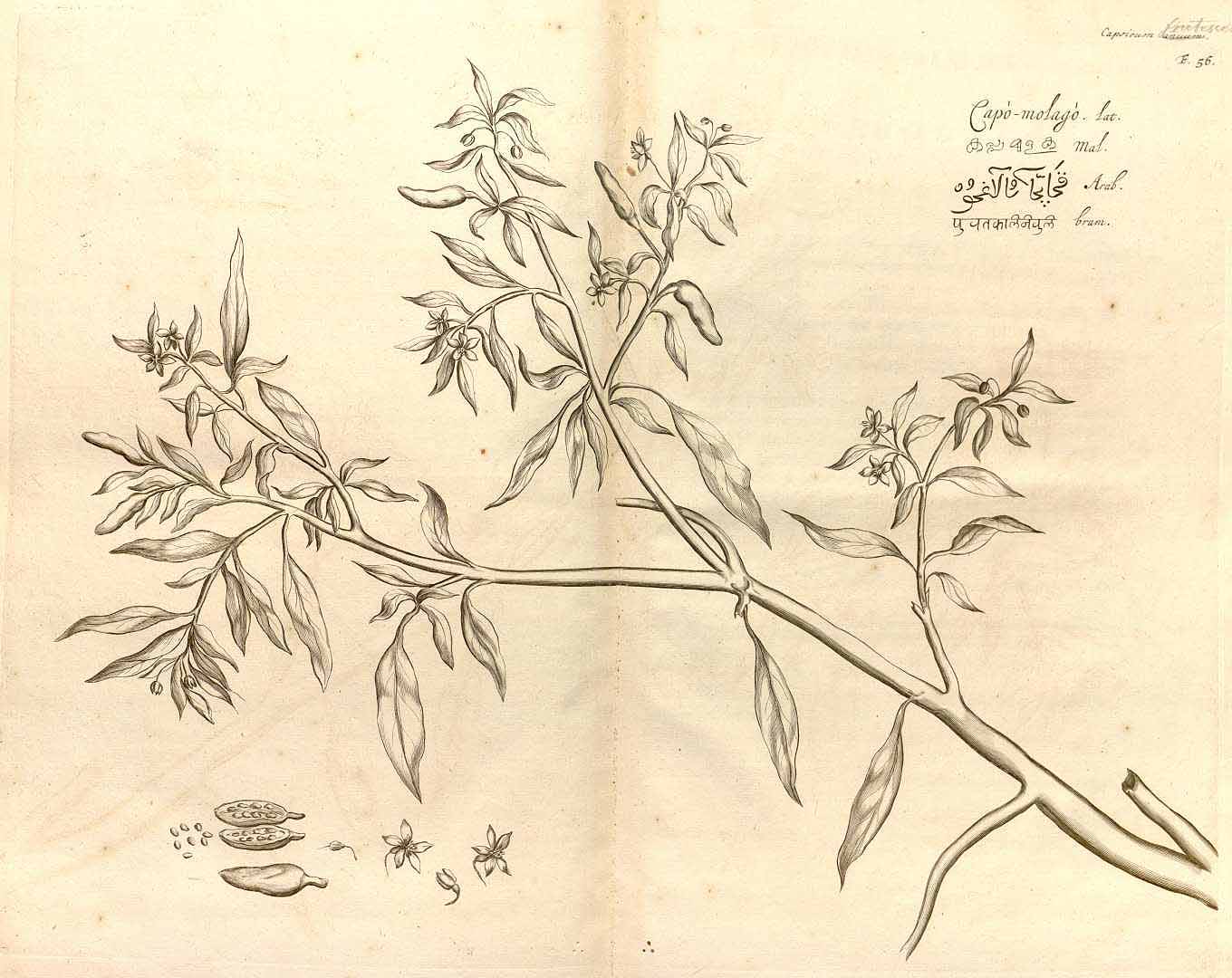 no HD illustration available (3)