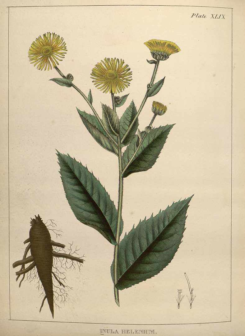 no HD illustration available (3)