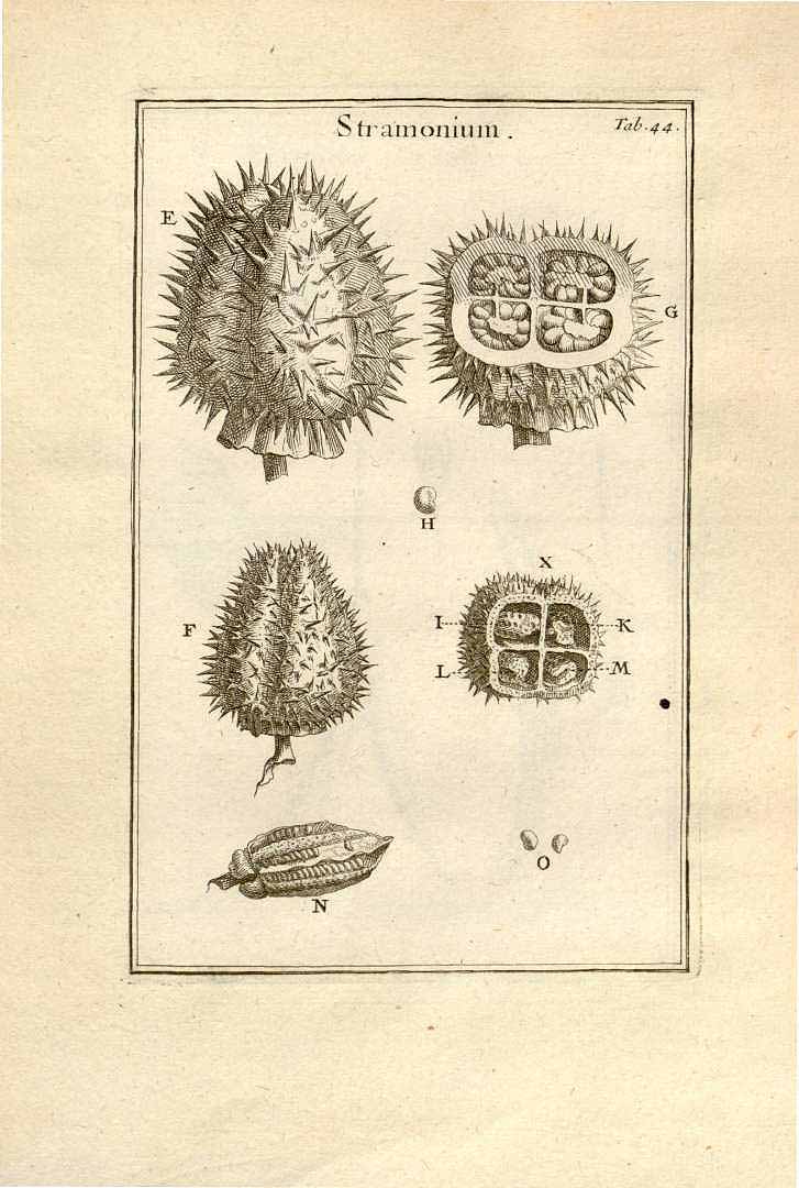 no HD illustration available (3)