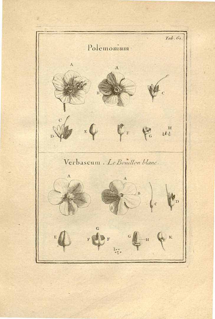 no HD illustration available (3)