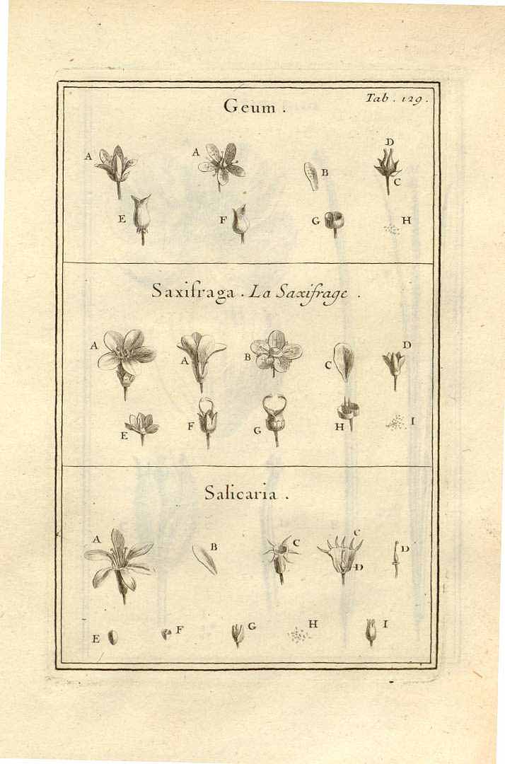 no HD illustration available (3)