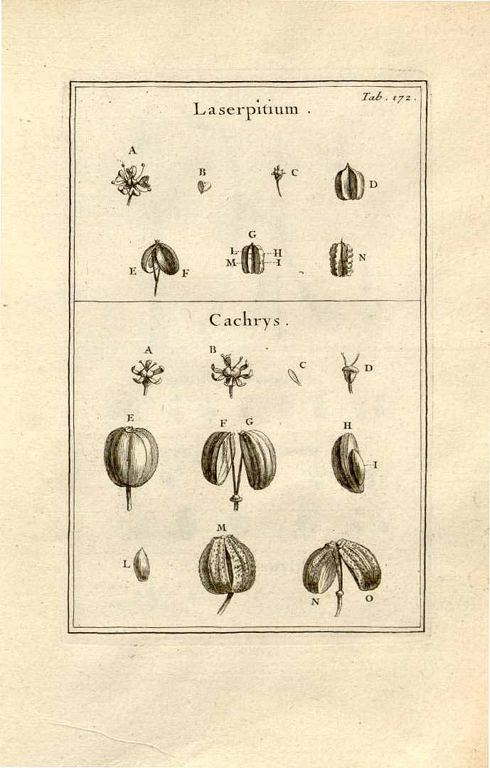 no HD illustration available (3)