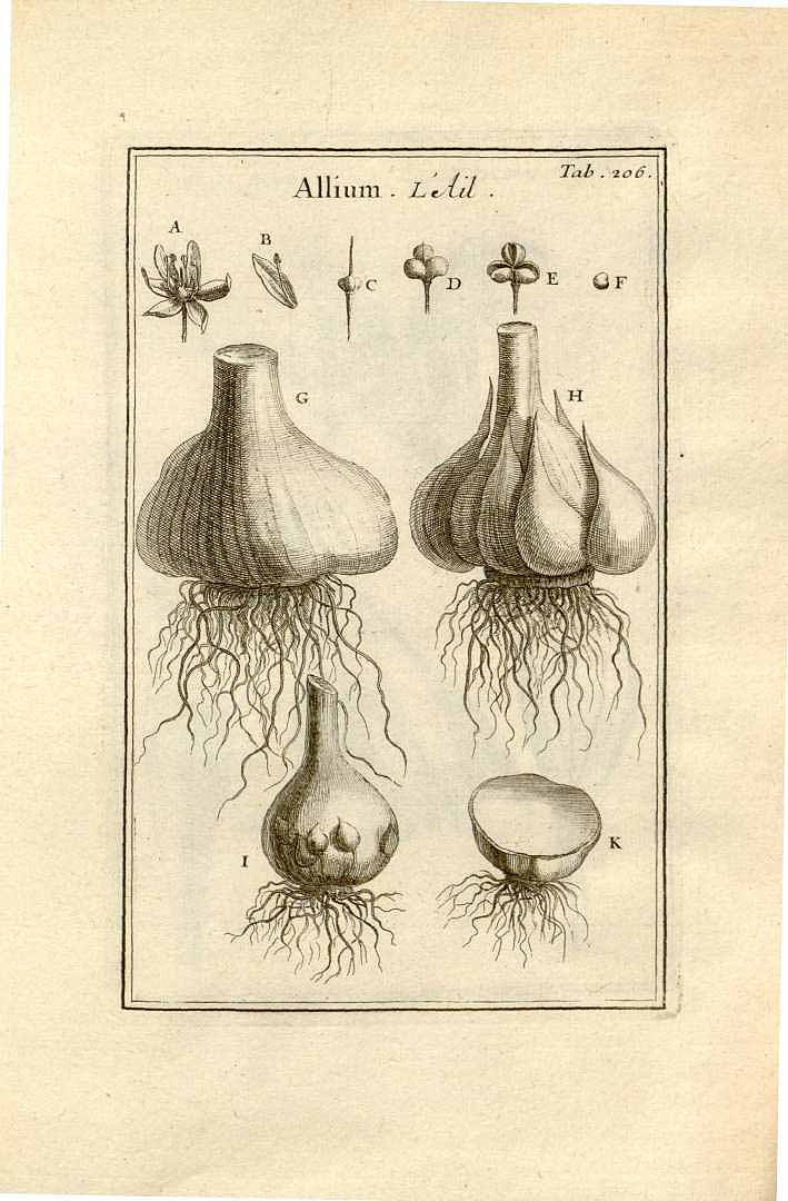 no HD illustration available (3)