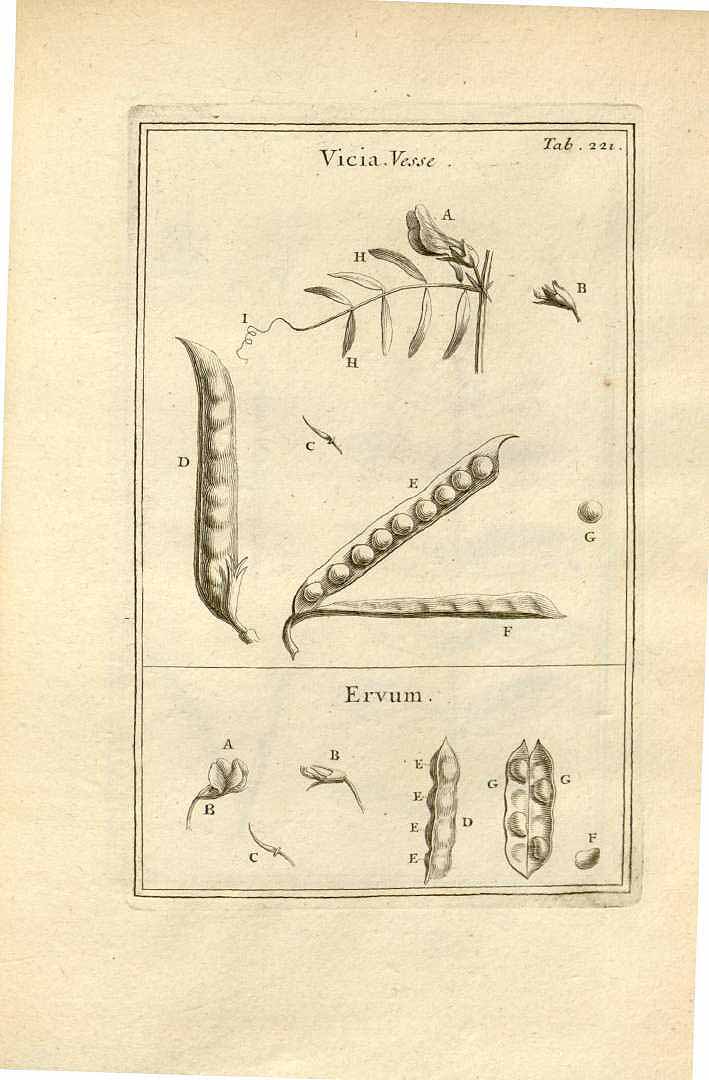 no HD illustration available (3)