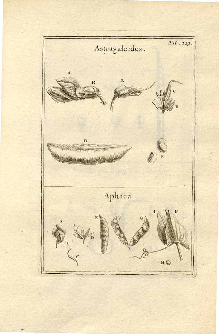 no HD illustration available (3)