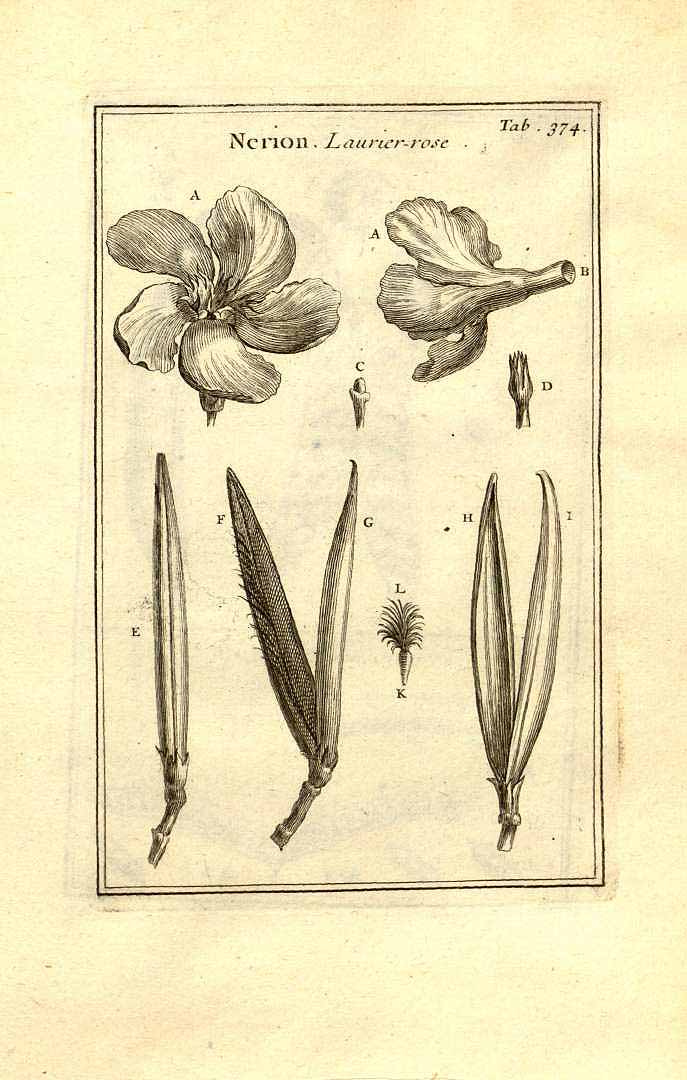 no HD illustration available (3)