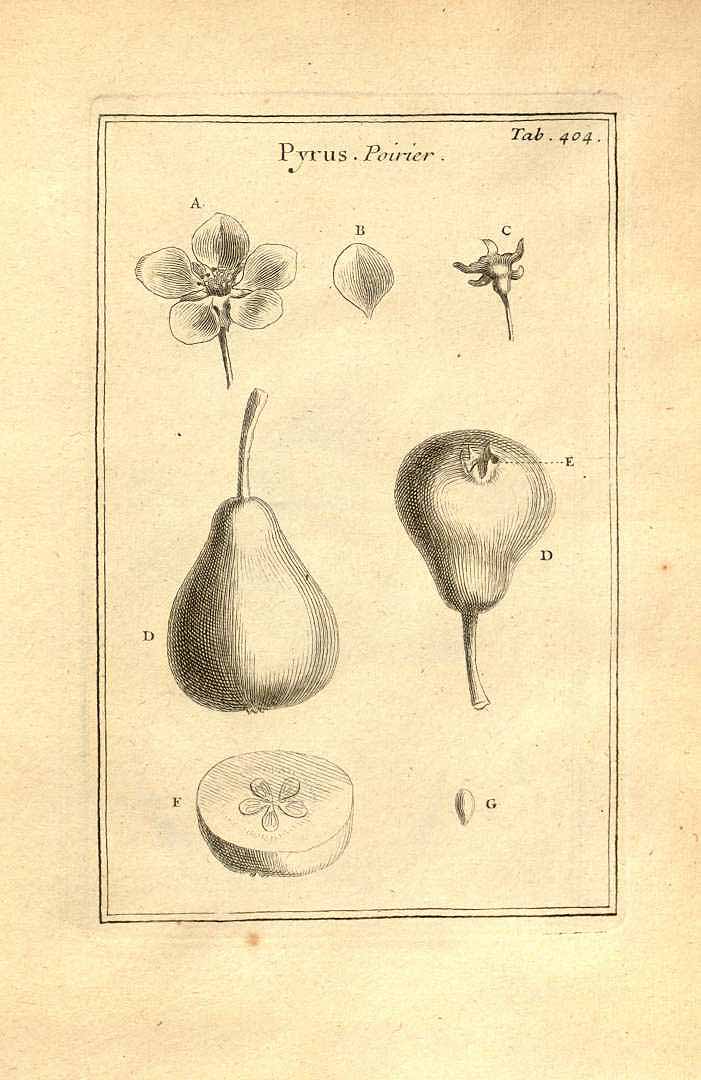 no HD illustration available (3)