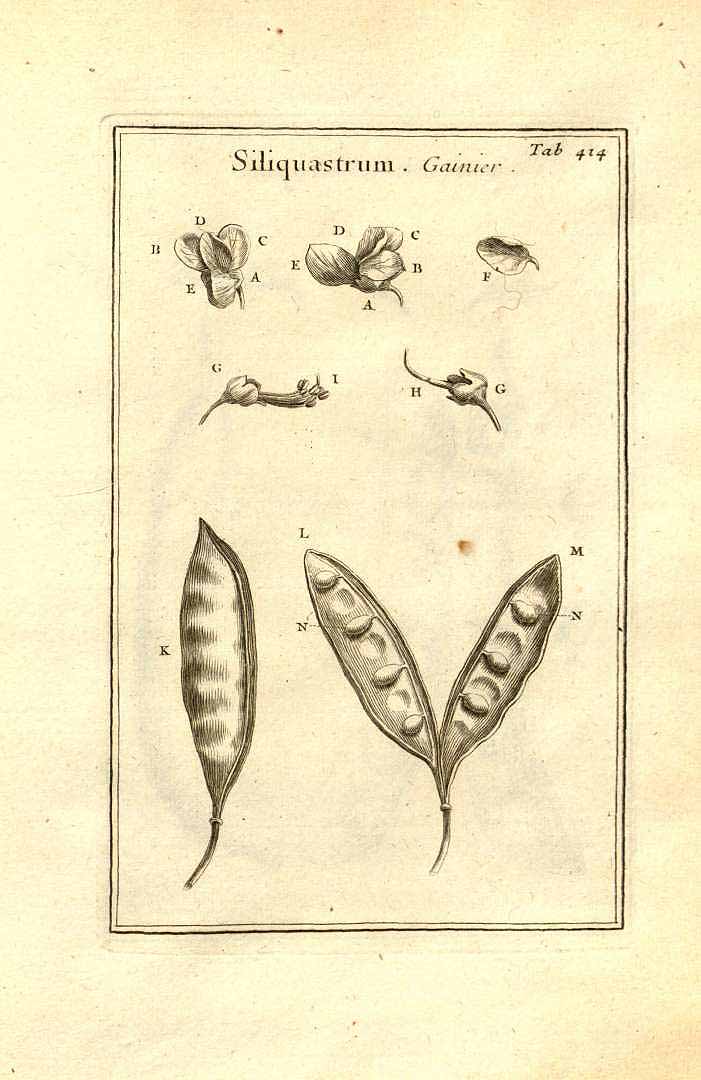 no HD illustration available (3)