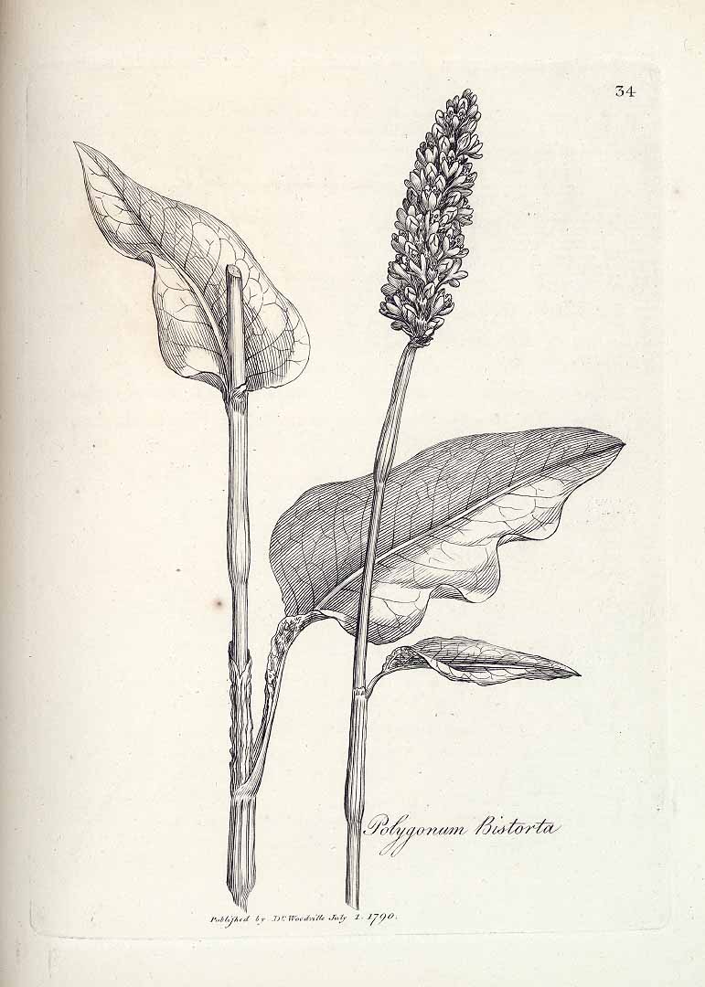 no HD illustration available (3)