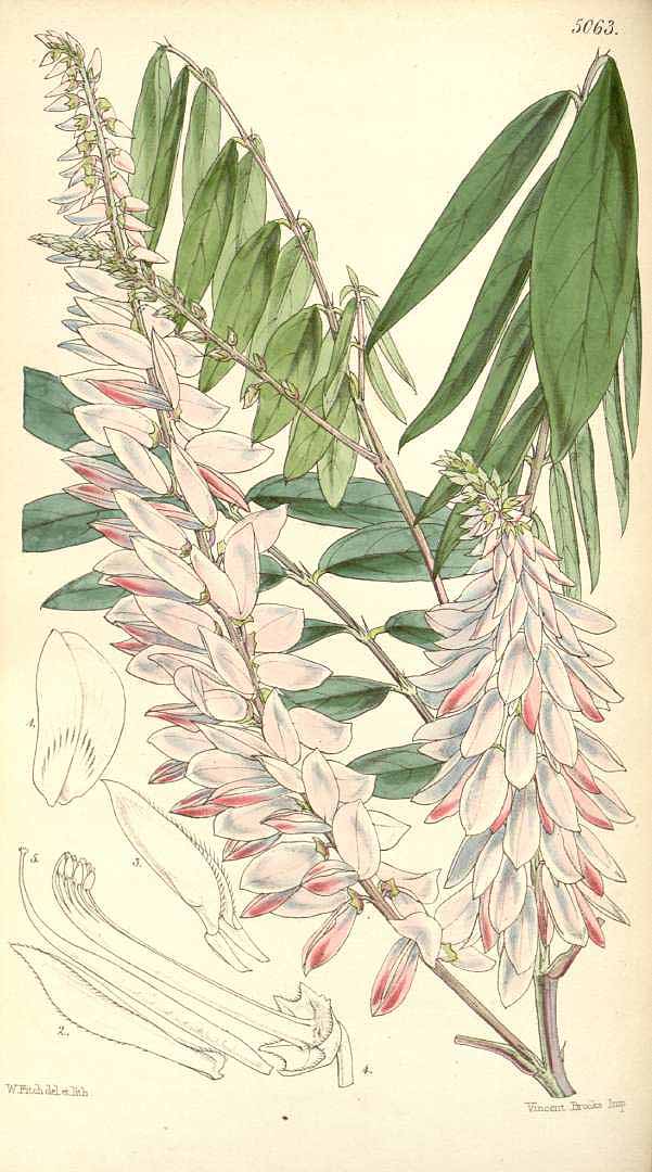 no HD illustration available (3)