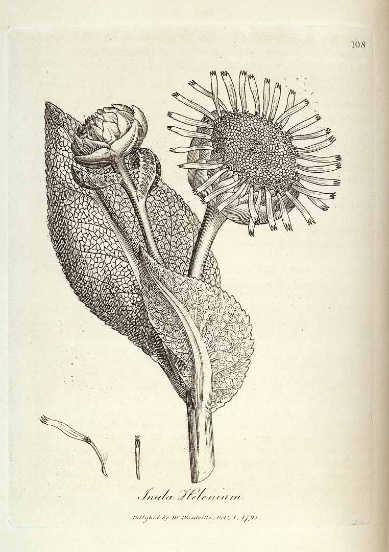 no HD illustration available (3)