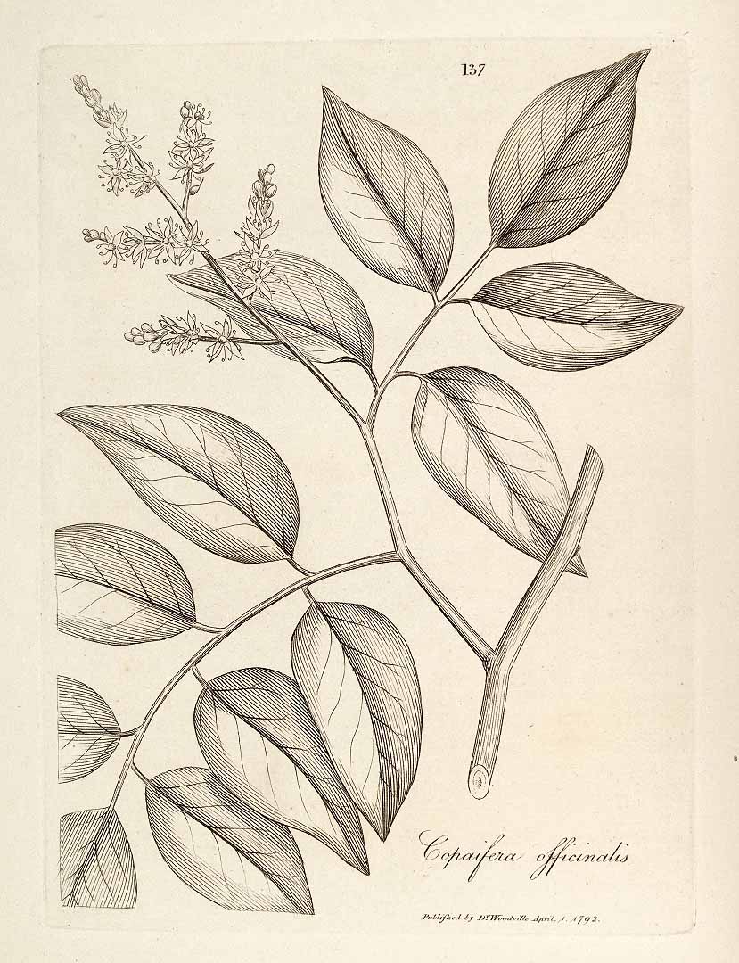 no HD illustration available (3)