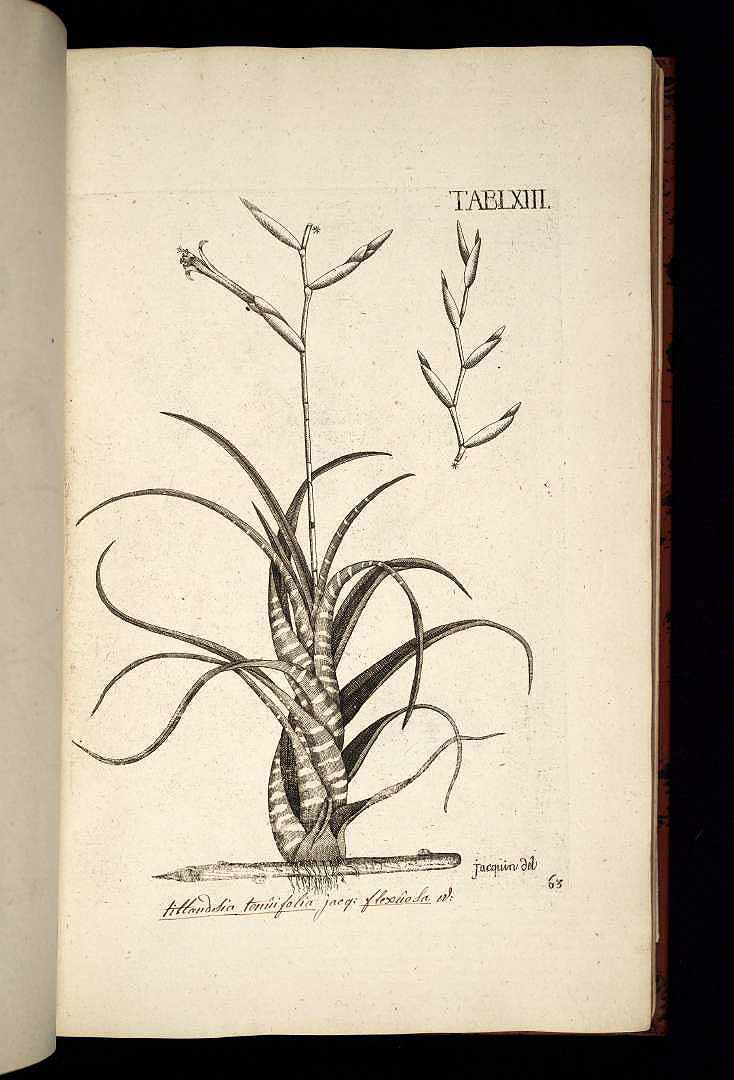 no HD illustration available (3)