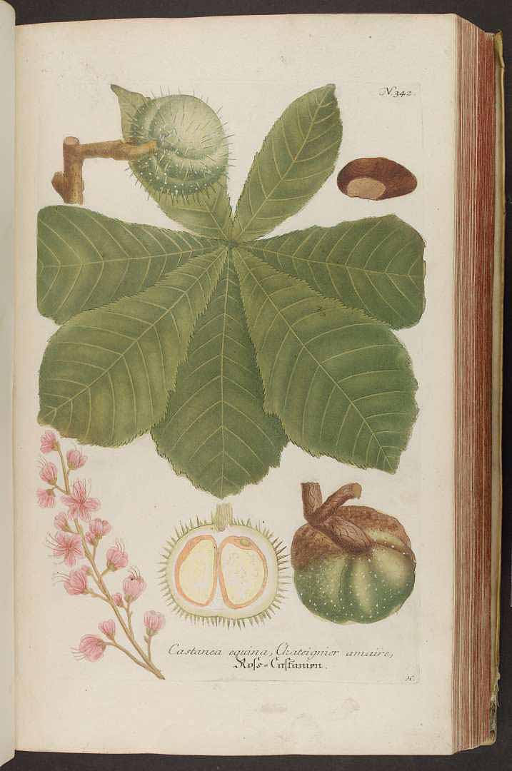 no HD illustration available (3)