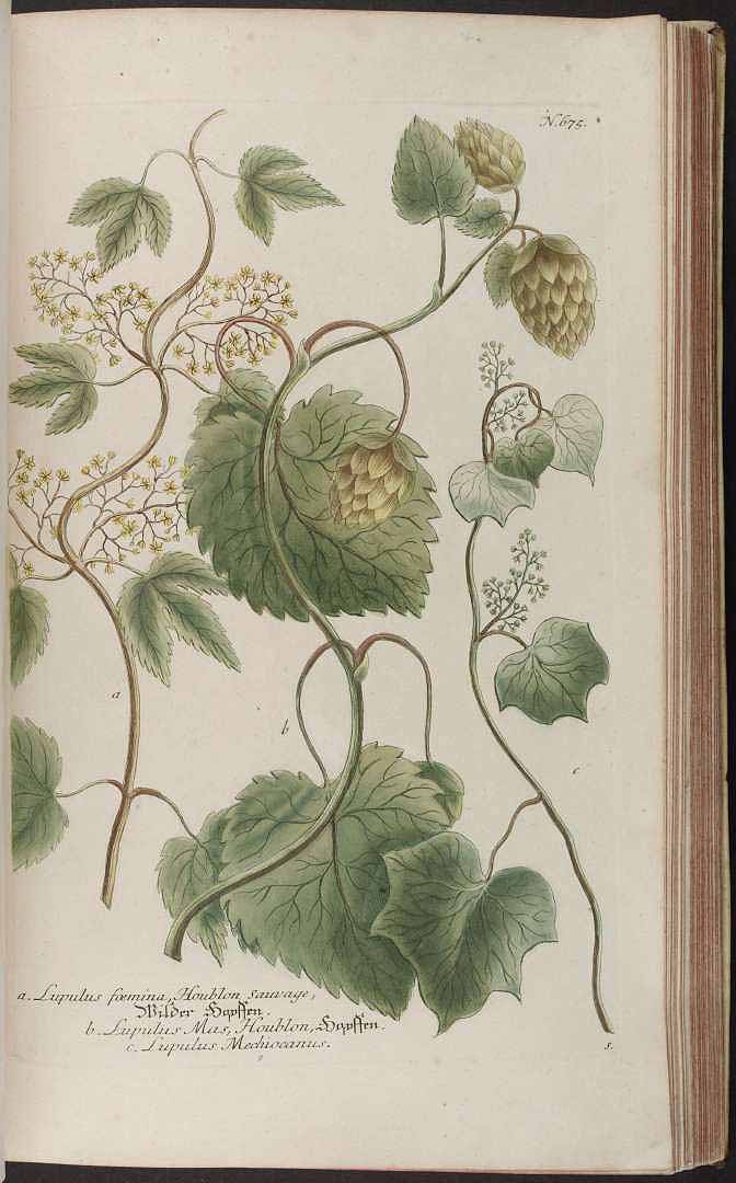 no HD illustration available (3)