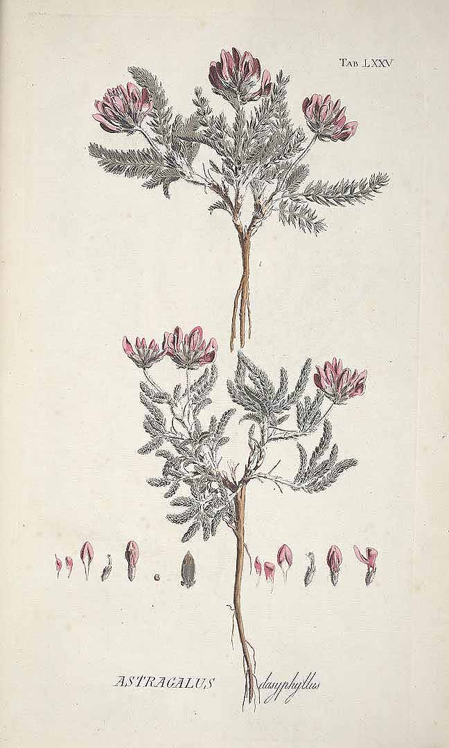 no HD illustration available (3)