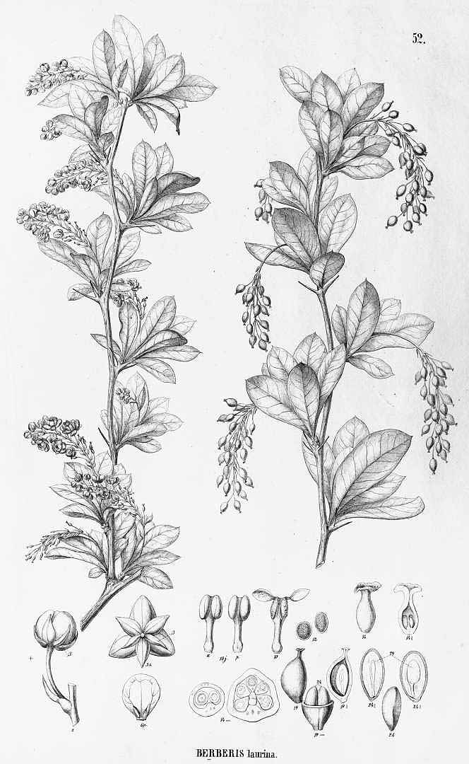 no HD illustration available (3)