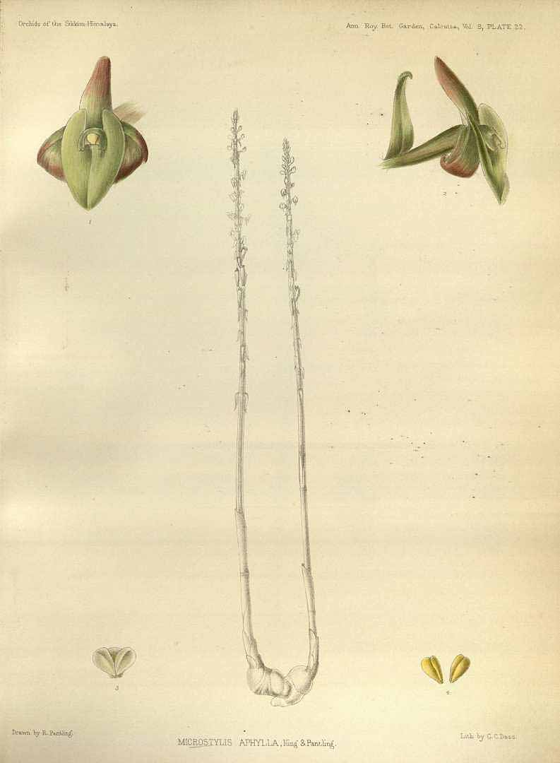 no HD illustration available (3)