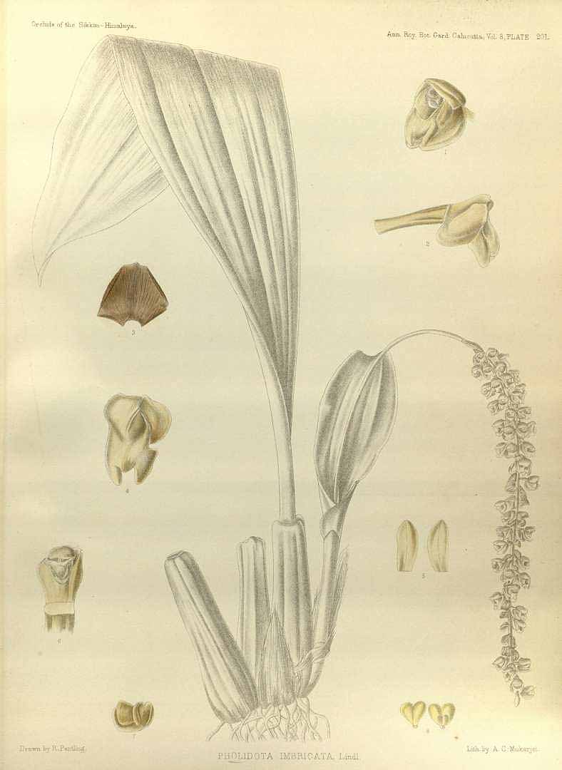 no HD illustration available (3)