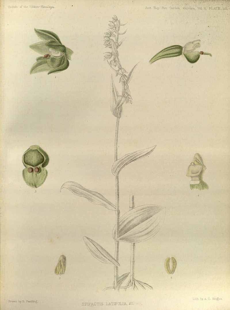 no HD illustration available (3)