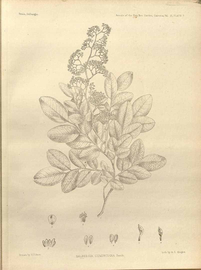 no HD illustration available (3)