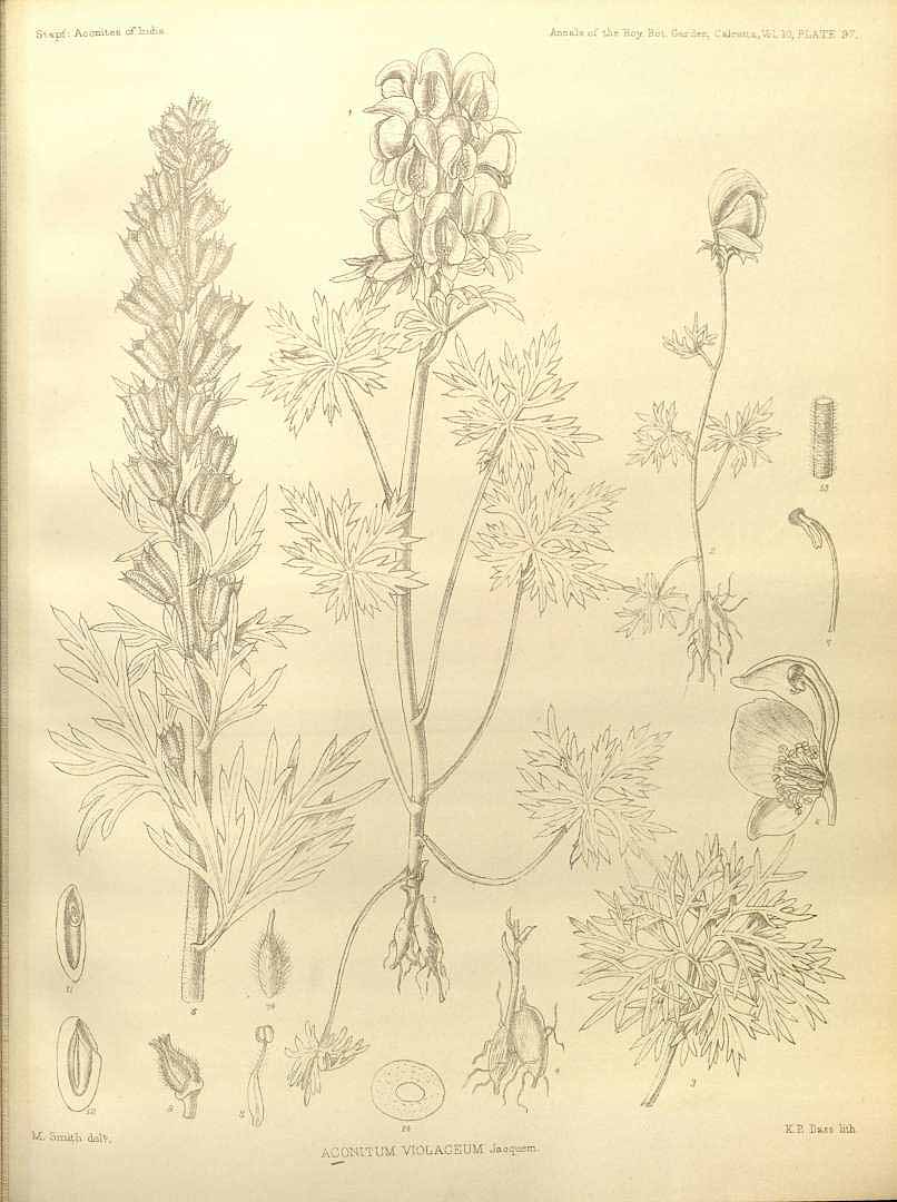 no HD illustration available (3)