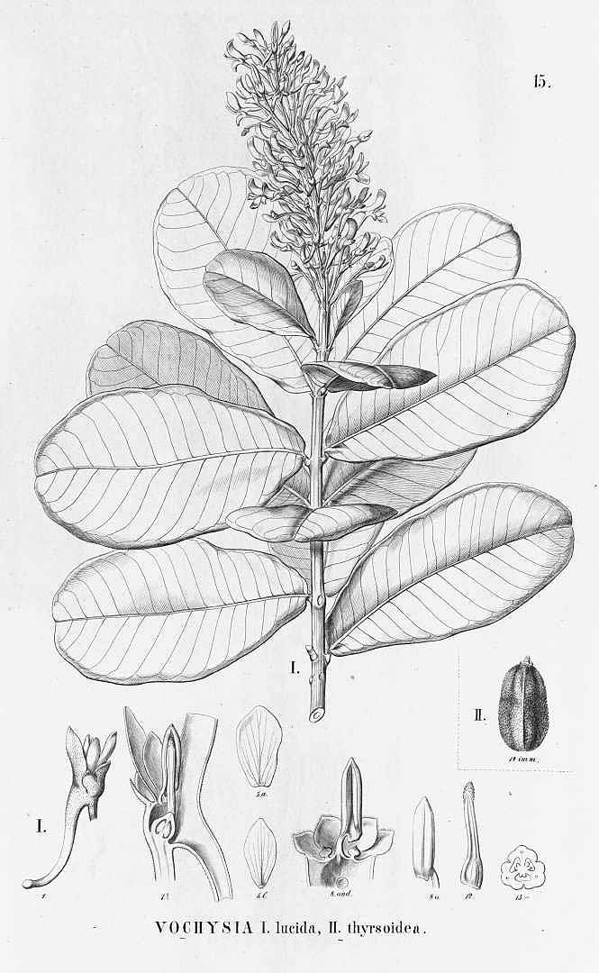 no HD illustration available (3)